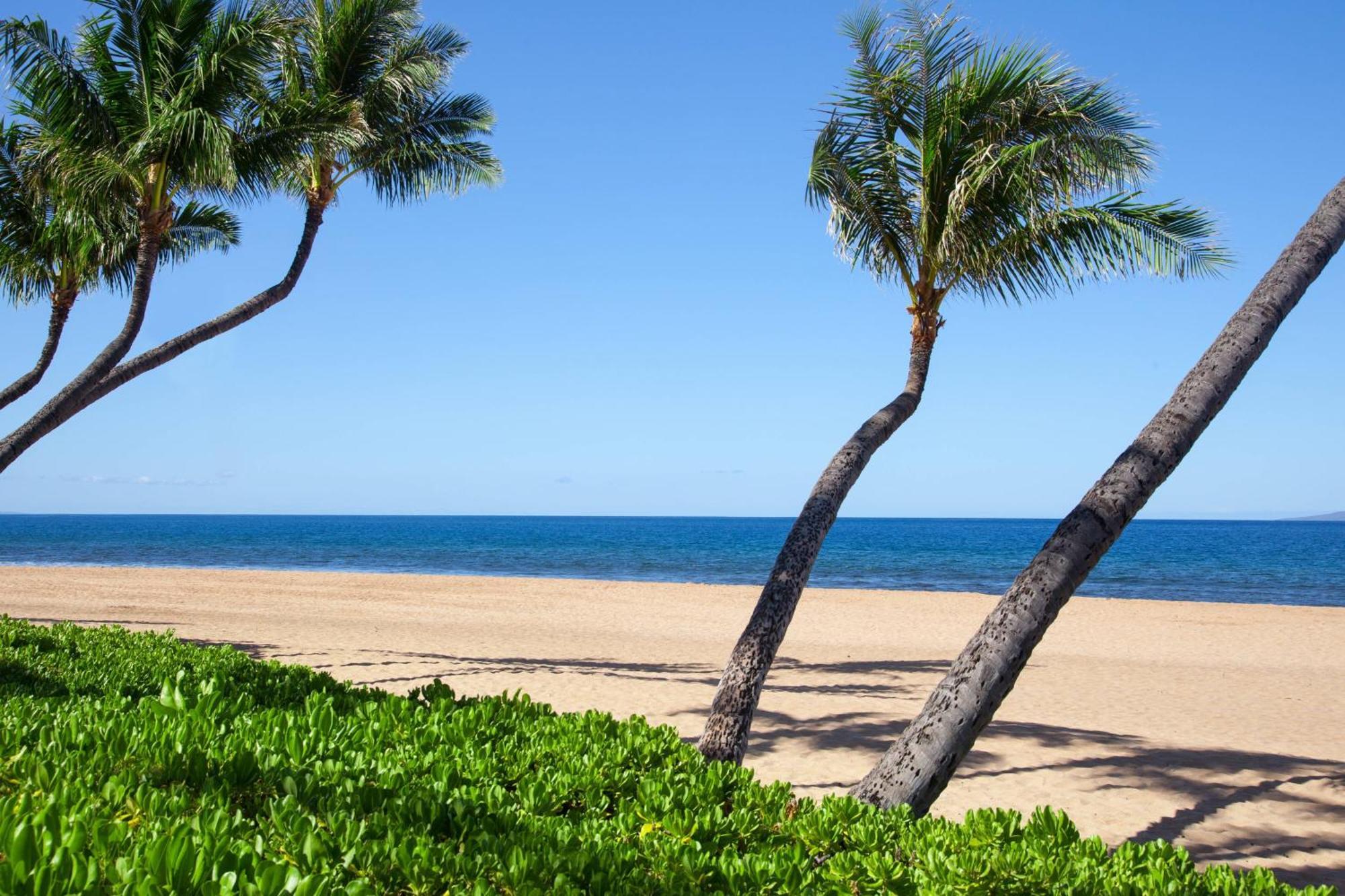 Отель Marriott'S Maui Ocean Club - Molokai, Maui & Lanai Towers Лахайна Экстерьер фото